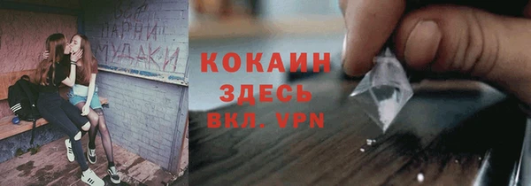 метадон Алексин