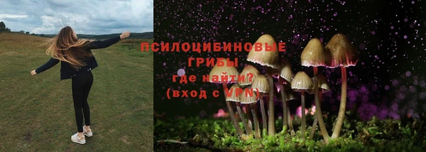 метадон Алексин