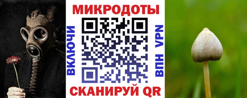 Псилоцибиновые грибы Psilocybe  закладка  Арзамас 